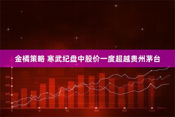 金橘策略 寒武纪盘中股价一度超越贵州茅台