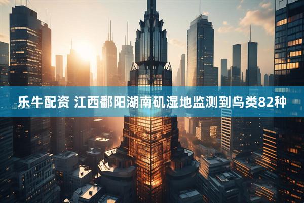乐牛配资 江西鄱阳湖南矶湿地监测到鸟类82种
